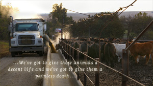 ...We've got to give those animals a decent life and we've got to give them a painless death...